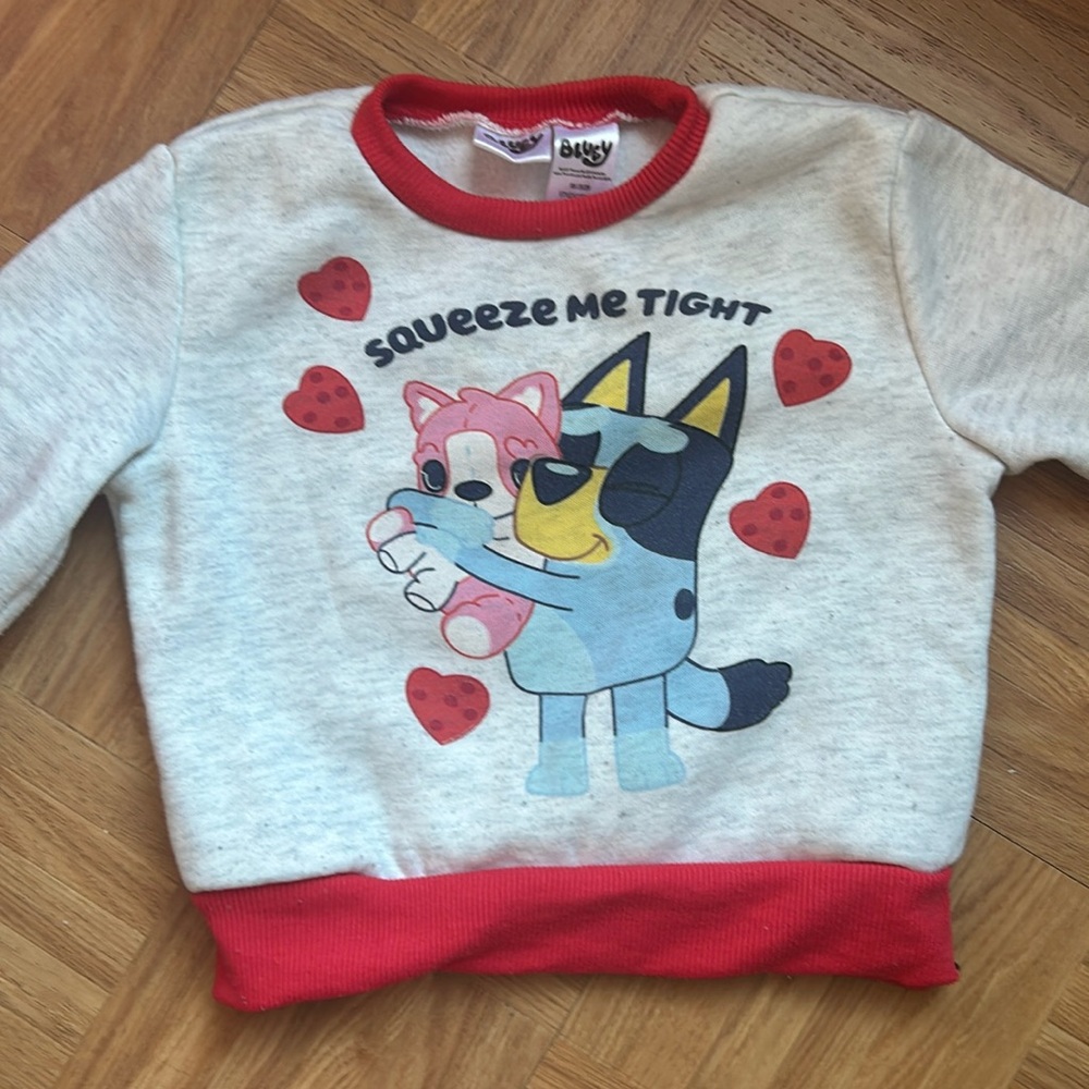 Bluey Valentine Sweater